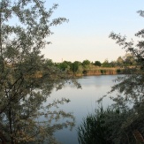 Orosháza - Homokbánya tó